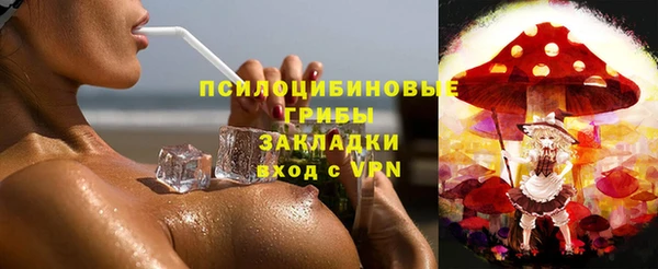 хмурый Снежногорск