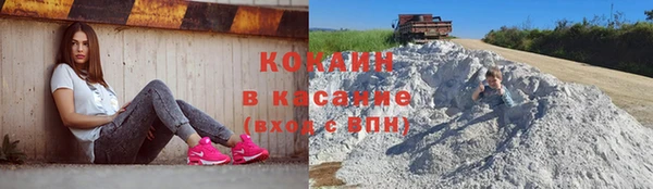 мяу мяу мука Абаза