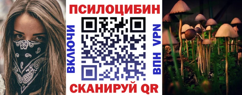 Псилоцибиновые грибы мицелий  Дятьково 